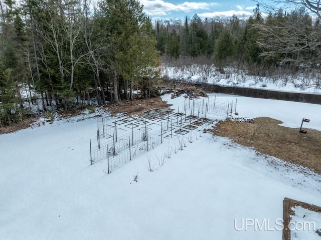 E3117 H44 Hwy, Trenary, MI 49891 - view of yard layered in snow