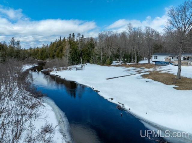 E3117 H44 Hwy, Trenary, MI 49891 - snowy yard featuring a wooded view