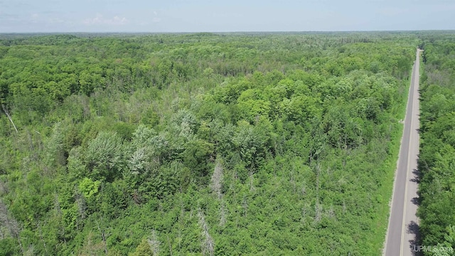 40ACRES Maple Grove Rd, Skandia, MI 49885