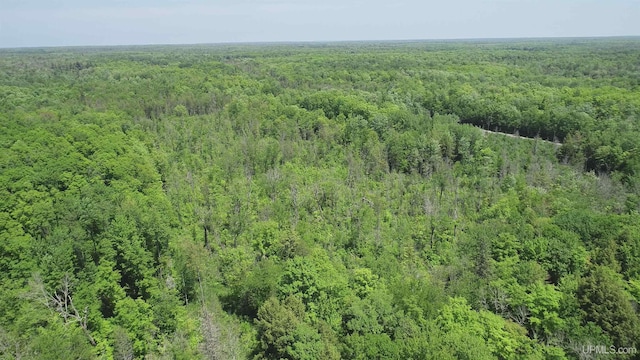 40ACRES Maple Grove Rd, Skandia, MI 49885