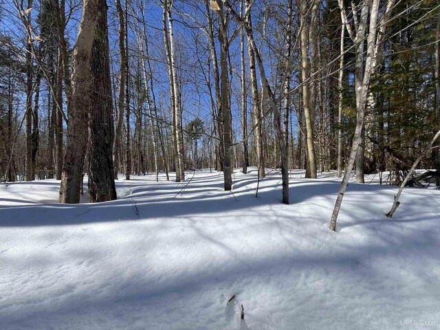 NORTH10ACRES Perch Lake Rd, Christmas, MI 49862