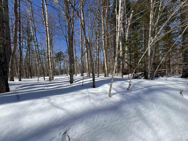 NORTH10ACRES Perch Lake Rd, Christmas, MI 49862