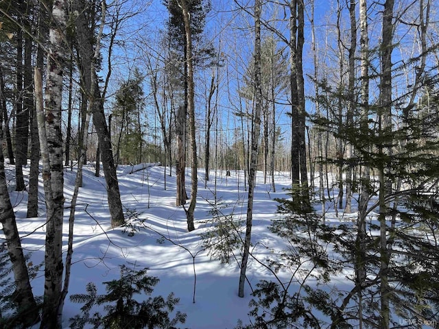 NORTH10ACRES Perch Lake Rd, Christmas, MI 49862