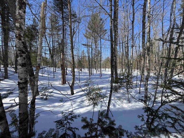 NORTH10ACRES Perch Lake Rd, Christmas, MI 49862