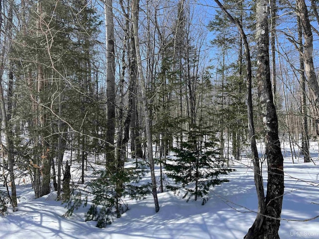 NORTH10ACRES Perch Lake Rd, Christmas, MI 49862