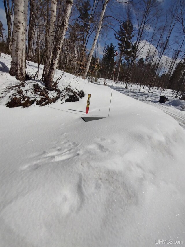NORTH10ACRES Perch Lake Rd, Christmas, MI 49862