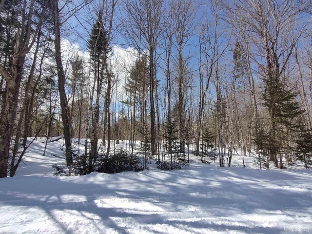 NORTH10ACRES Perch Lake Rd, Christmas, MI 49862