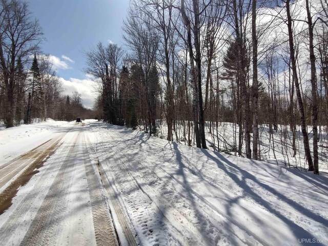 NORTH10ACRES Perch Lake Rd, Christmas, MI 49862