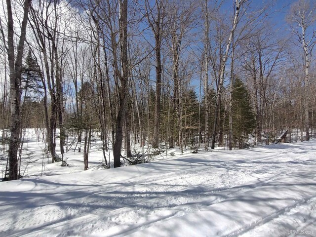 NORTH10ACRES Perch Lake Rd, Christmas, MI 49862