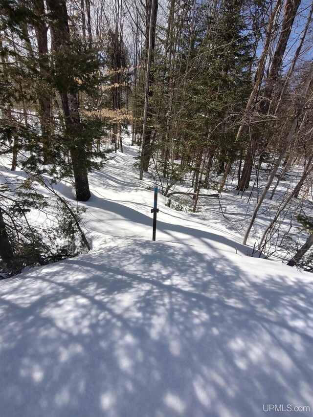 NORTH10ACRES Perch Lake Rd, Christmas, MI 49862