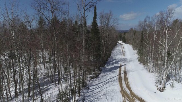 NORTH10ACRES Perch Lake Rd, Christmas, MI 49862