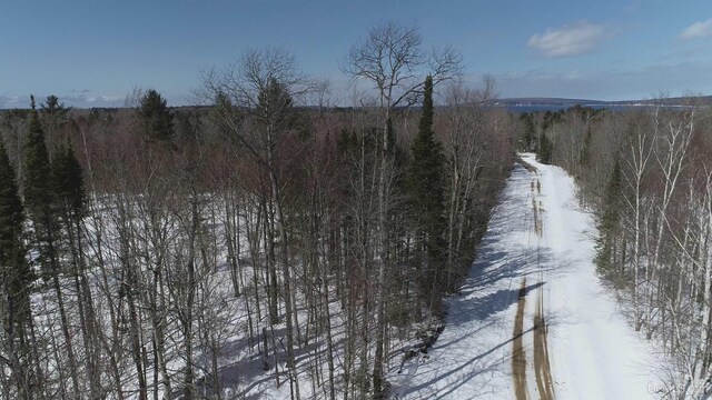 NORTH10ACRES Perch Lake Rd, Christmas, MI 49862