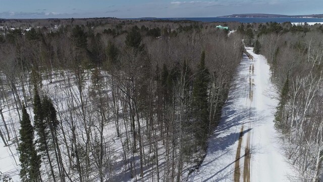 NORTH10ACRES Perch Lake Rd, Christmas, MI 49862