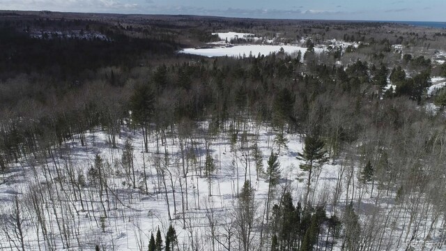 NORTH10ACRES Perch Lake Rd, Christmas, MI 49862