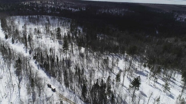 NORTH10ACRES Perch Lake Rd, Christmas, MI 49862