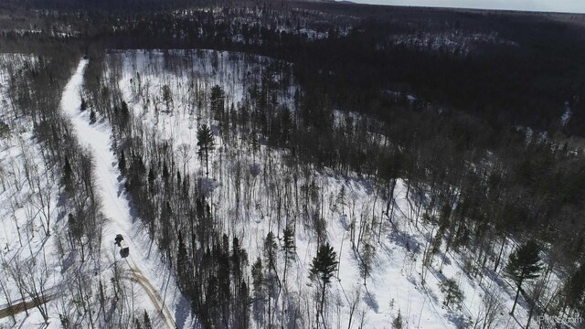NORTH10ACRES Perch Lake Rd, Christmas, MI 49862