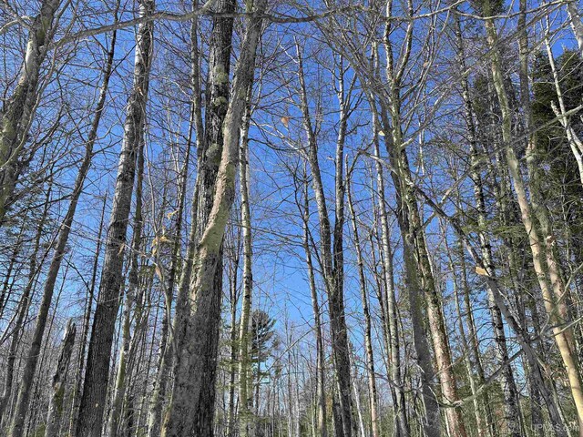NORTH10ACRES Perch Lake Rd, Christmas, MI 49862