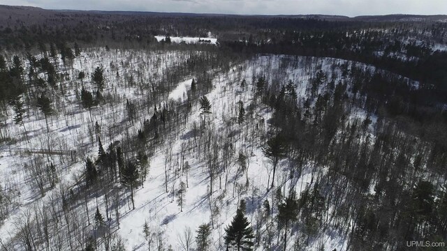 NORTH10ACRES Perch Lake Rd, Christmas, MI 49862