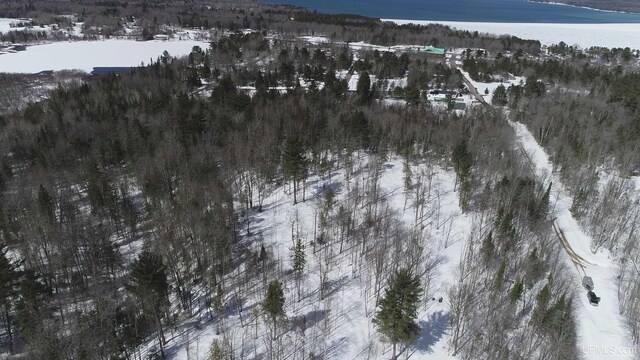 NORTH10ACRES Perch Lake Rd, Christmas, MI 49862