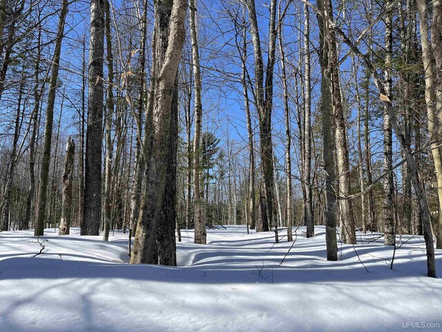 NORTH10ACRES Perch Lake Rd, Christmas, MI 49862