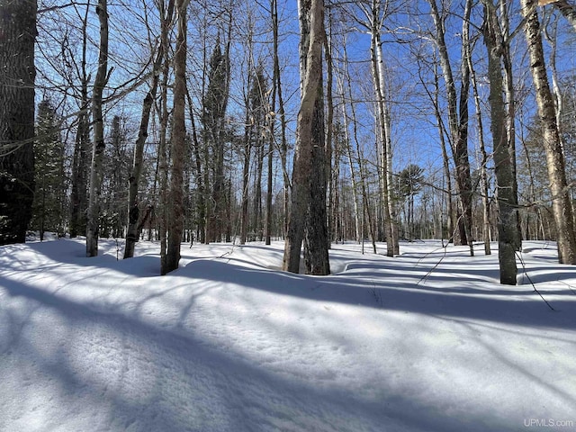 NORTH10ACRES Perch Lake Rd, Christmas, MI 49862