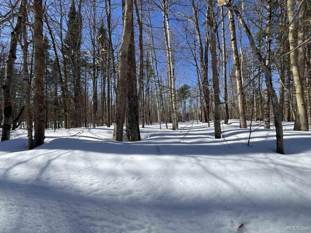 NORTH10ACRES Perch Lake Rd, Christmas, MI 49862