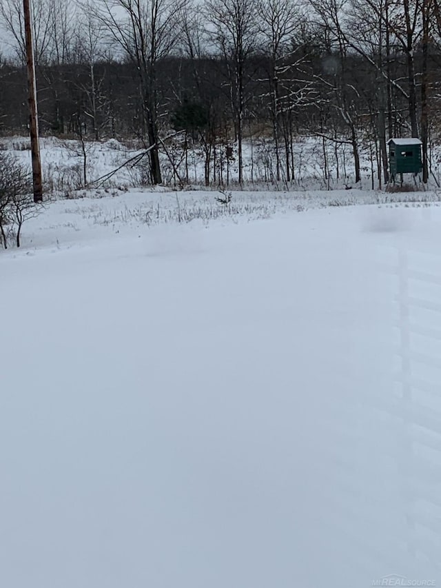 view of snowy yard