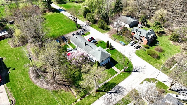 drone / aerial view
