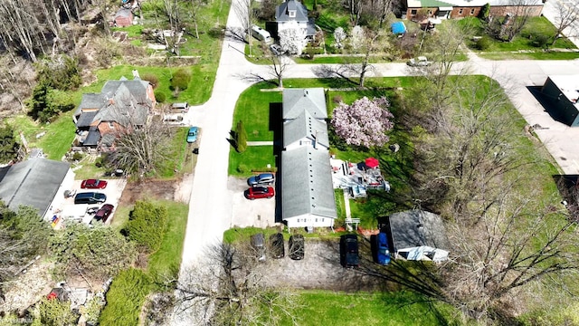 bird's eye view