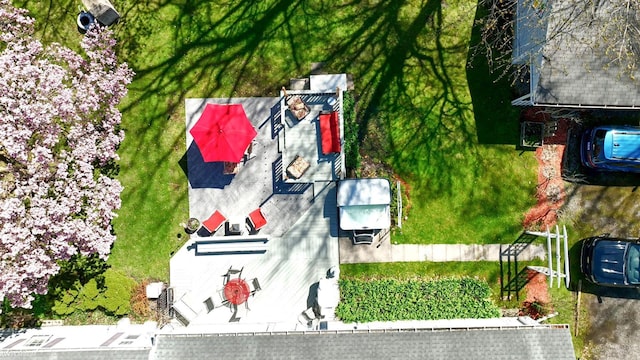 bird's eye view