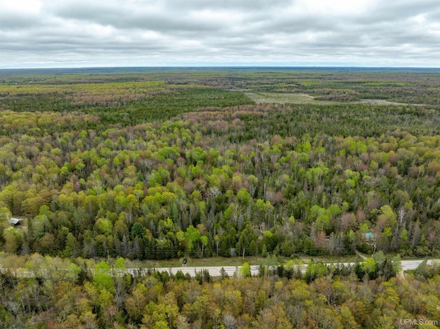 TBD Et Road, Trenary, MI 49891
