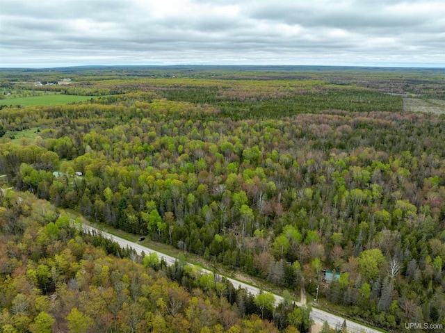 TBD Et Road, Trenary, MI 49891