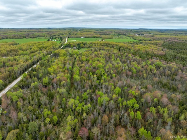 TBD Et Road, Trenary, MI 49891