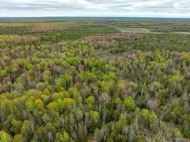 TBD Et Road, Trenary, MI 49891