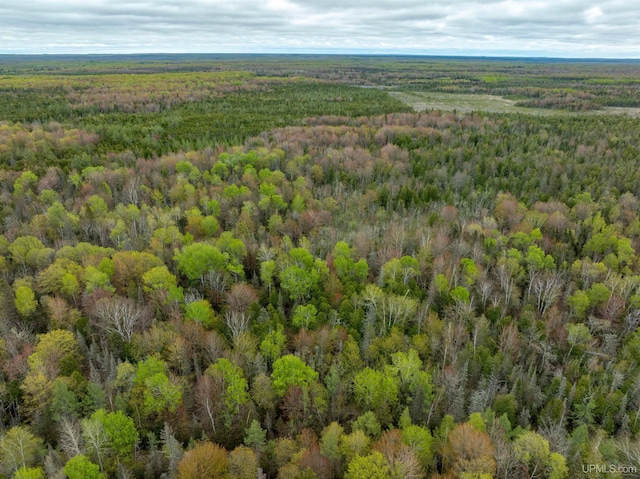 TBD Et Road, Trenary, MI 49891