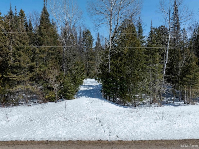 TBD Et Road, Trenary, MI 49891