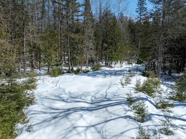 TBD Et Road, Trenary, MI 49891