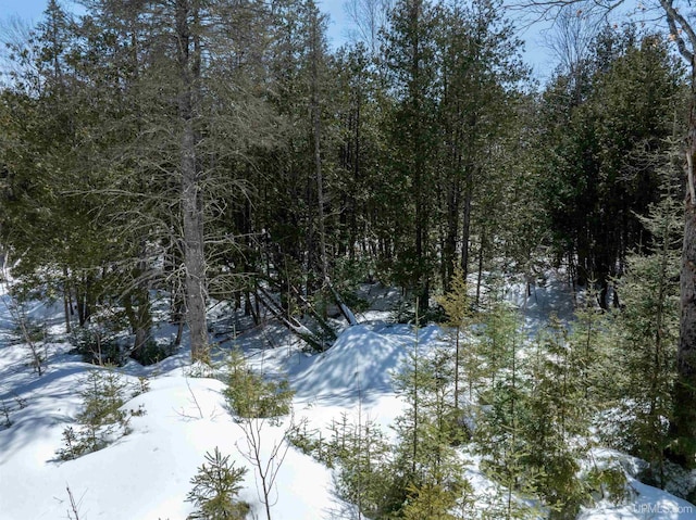TBD Et Road, Trenary, MI 49891