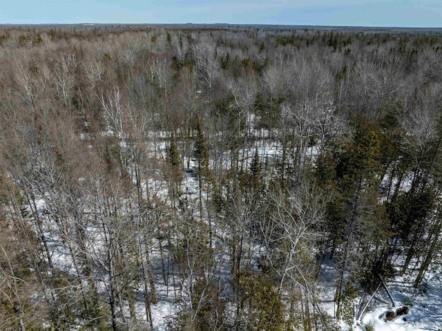 TBD Et Road, Trenary, MI 49891