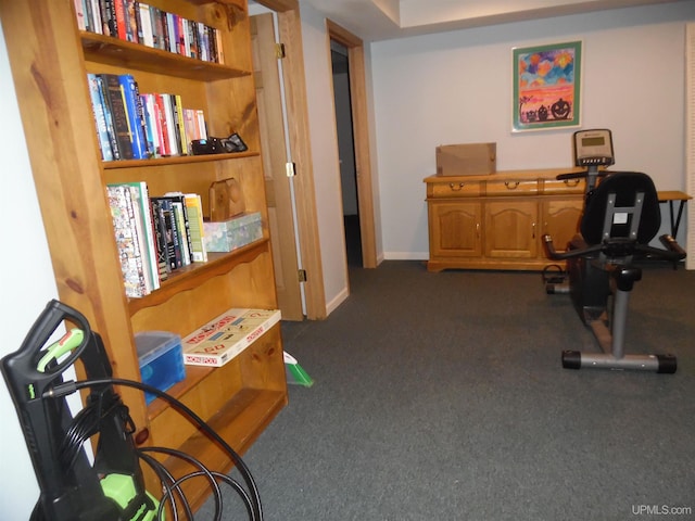 49436 S Superior Rd, Houghton, MI 49931 - office featuring dark carpet
