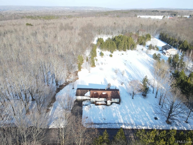 49436 S Superior Rd, Houghton, MI 49931 - view of snowy aerial view