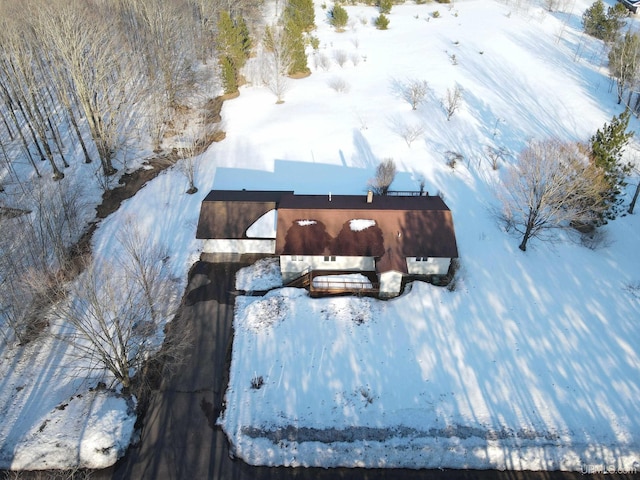 49436 S Superior Rd, Houghton, MI 49931 - view of snowy aerial view