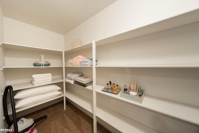 55763 Omni Dr, Shelby, MI 48315 - view of storage