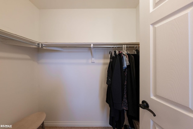 55763 Omni Dr, Shelby, MI 48315 - view of spacious closet