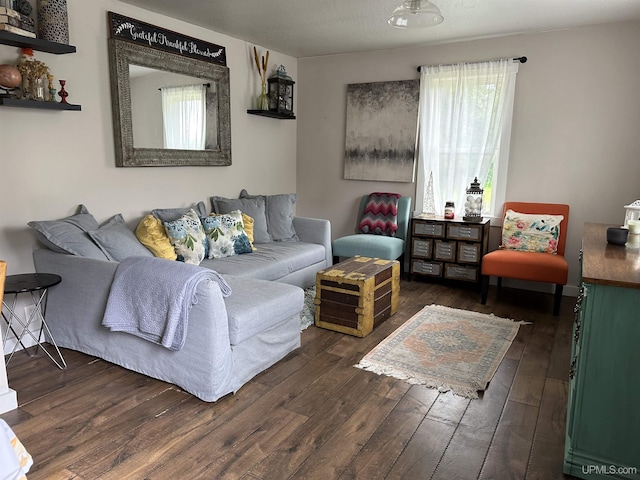 6234 State St, Garden, MI 49835 - living area featuring hardwood / wood-style floors