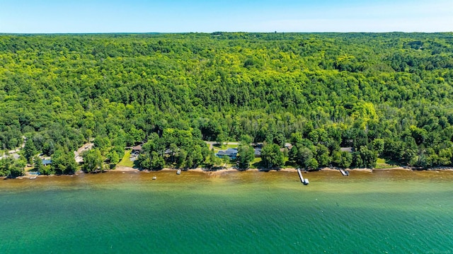 bird's eye view with a view of trees and a water view