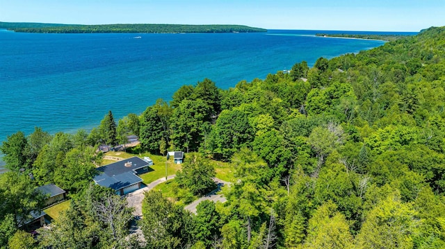 aerial view with a water view and a view of trees