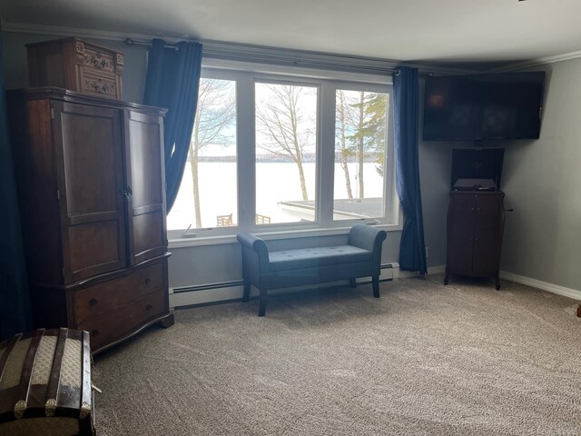 living area featuring light carpet, baseboard heating, baseboards, and a healthy amount of sunlight