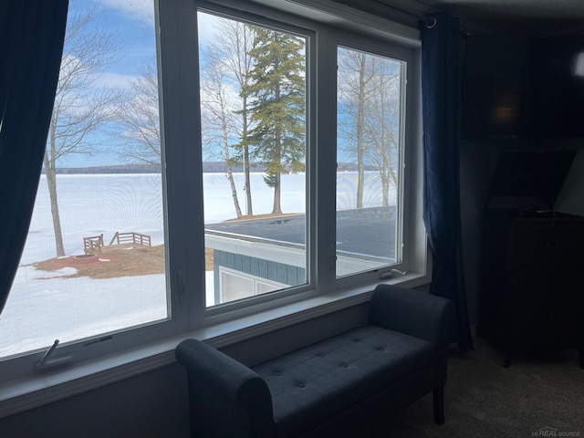 living area featuring a water view, plenty of natural light, and carpet