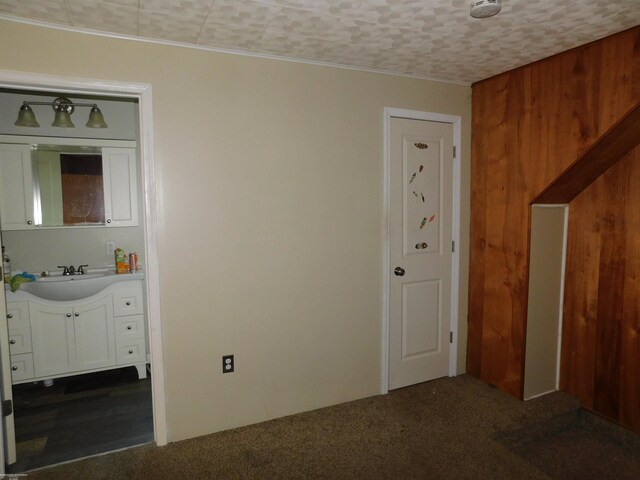 27324 Larchmont St, Saint Clair Shores, MI 48081 - unfurnished bedroom featuring a sink, dark colored carpet, and ornamental molding
